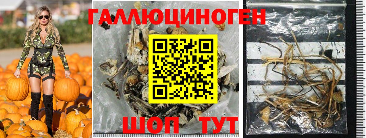 Реутов  Псилоцибиновые грибы Psilocybe  Вход с VPN 